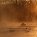 Le Belvedere Aux Cygnes Du Moulin Du Roy בית נופש