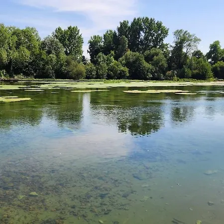 Le Belvedere Aux Cygnes Du Moulin Du Roy